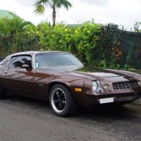 Chevrolet Camaro Berlinette 1979 -V8 5,7L 180cv
