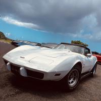 Chevrolet Corvette C3 Alain