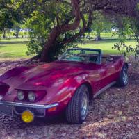 Chevrolet Corvette C3 Jacky