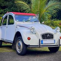 Citroen 2CV Rony