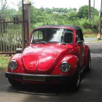 Coccinelle Cabriolet 1974