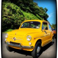 Fiat 500 Gerard
