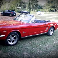 Ford Mustang 1965 Francis