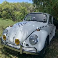 Volkswagen Coccinelle Jerome