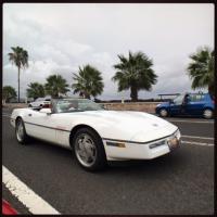 CHEVROLET corvette
										Année :1990
										 Puissance : 245 ch  DIN à   tr/min, 245 ch
										Vitesse max : 280 km/h  maxi  280
										Consommation :10 l moteur V8 de 5 700 cm3