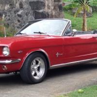   Ford Mustang
										Année : 1966
										Moteur de : 4 700 cm3
										Puissance : 225 ch DIN à 4800 tr/min
										Vitesse max: 190 km/h 
										Consommation : 27 l