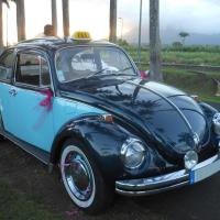VOLKSWAGEN COCCINELLE 1302 de 1973,