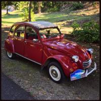2CV4
										
										Année : 1973
										 Moteur de : 435 cm3
										 Puissance : 26ch  DIN à  6750 tr/min  Vitesse max : 102 km/h  Consommation : 5,4 l